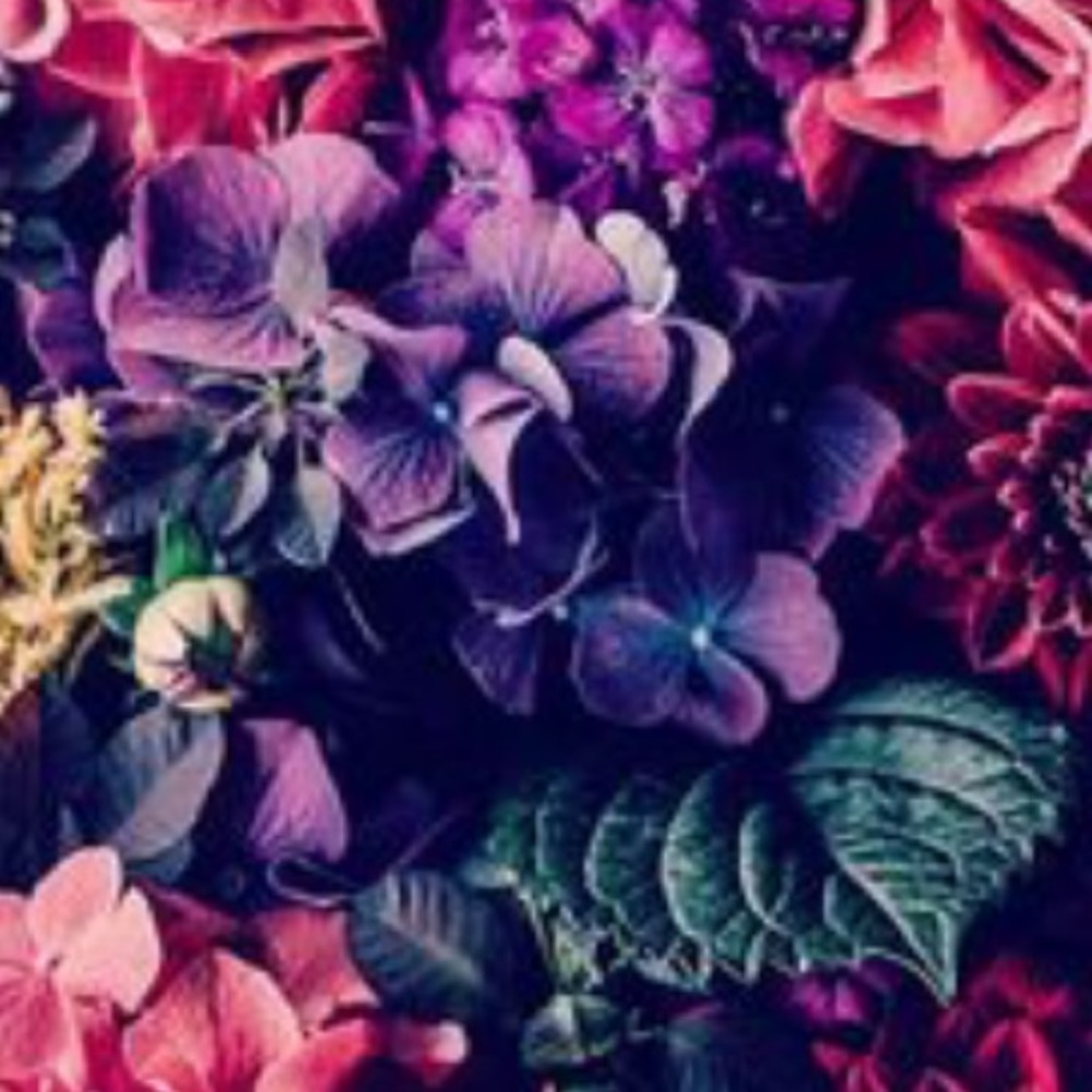 Meet your Posher, Jordyn